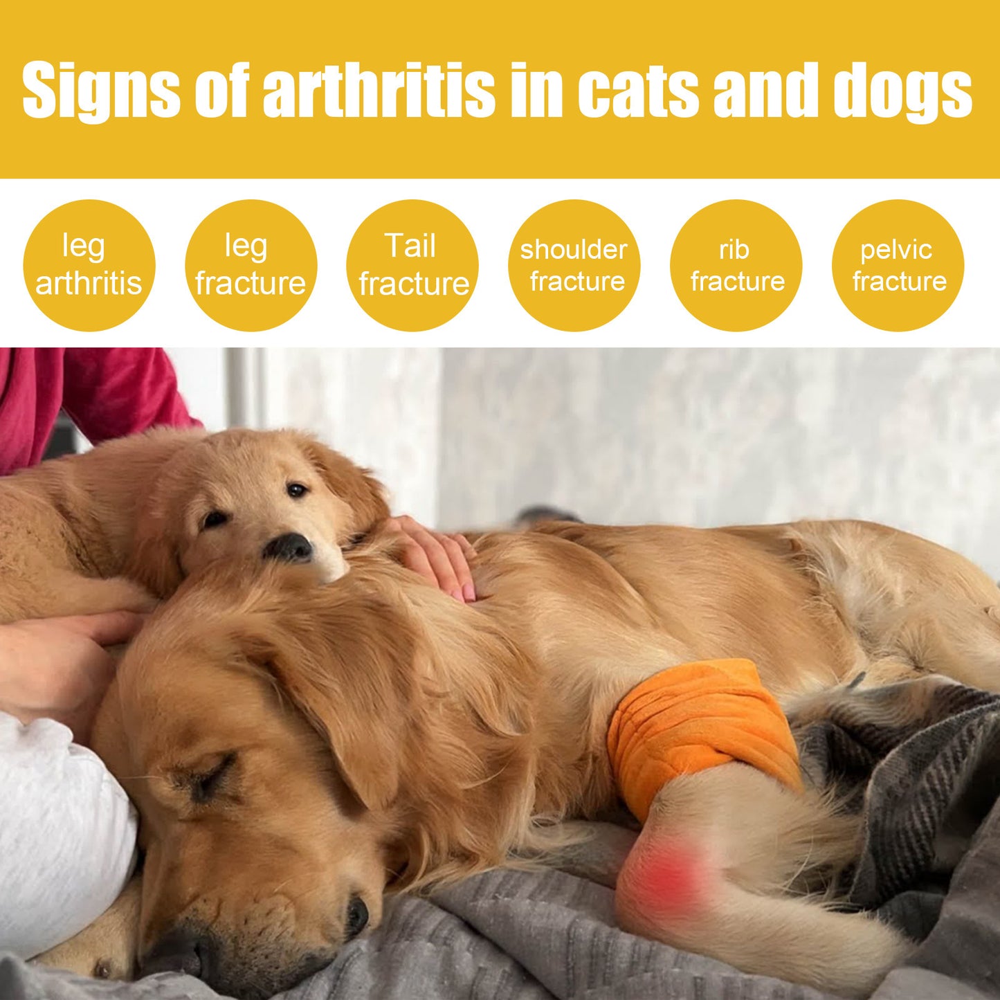 Pet Joint Repair Spray Relieves Body Soreness