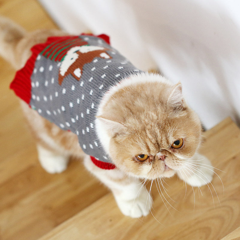 Cat Sweater (Autumn/Winter)