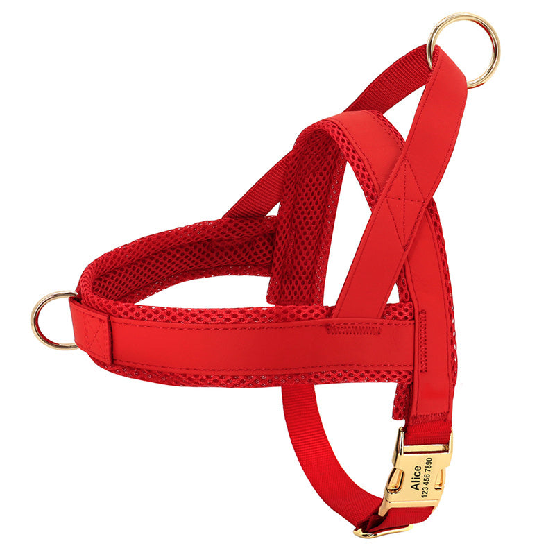 Syra Dog Harness(customizable)