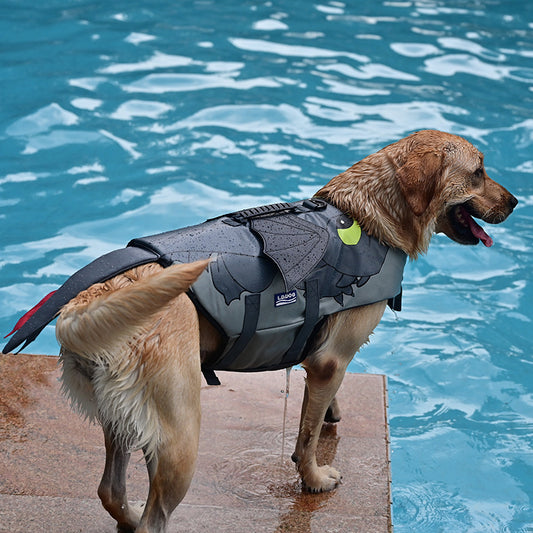 Syra Dog Swimsuit flying dragon design