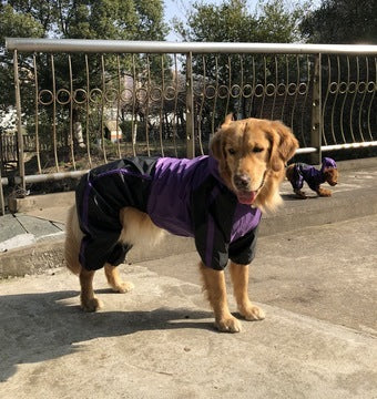 Syra Pet  dog jumpsuit