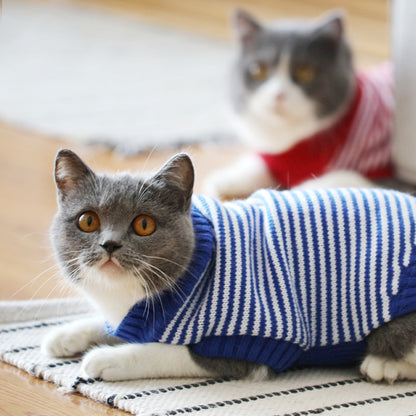 Cat Sweater (Autumn/Winter)