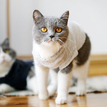 Cat Sweater (Autumn/Winter)