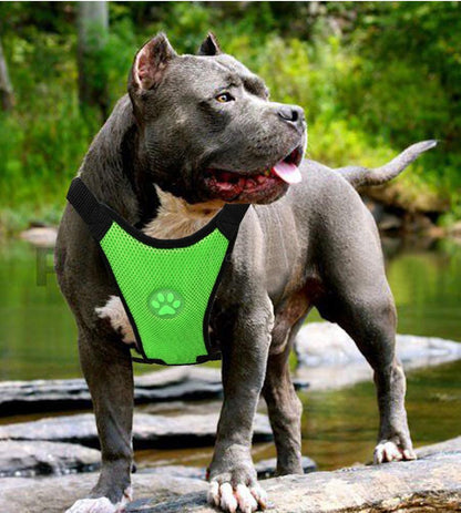 Pet Car Safety Chest Harness Meoof