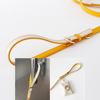 Syra Leather Dog Leash / Leather Pet Leash