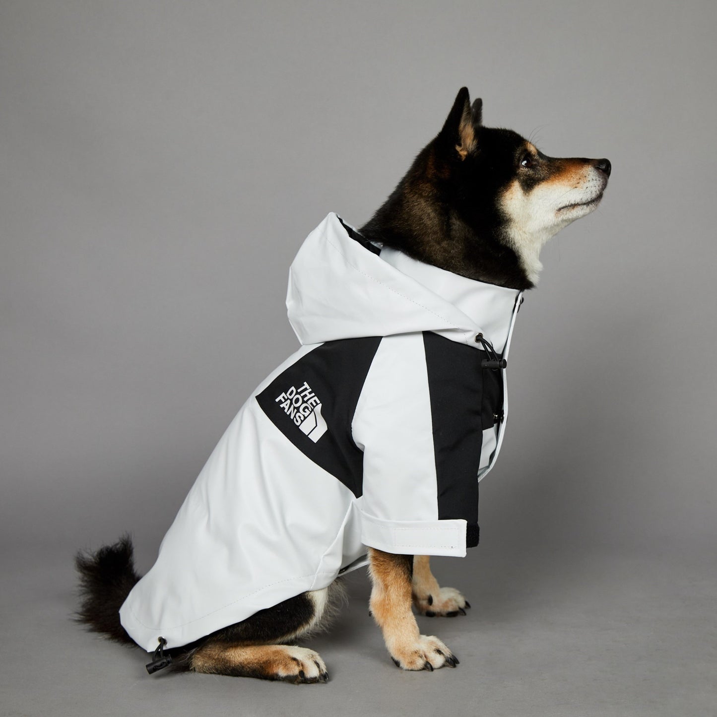 Syra Windproof And Rainproof Large Dog Raincoat Pet Jacket