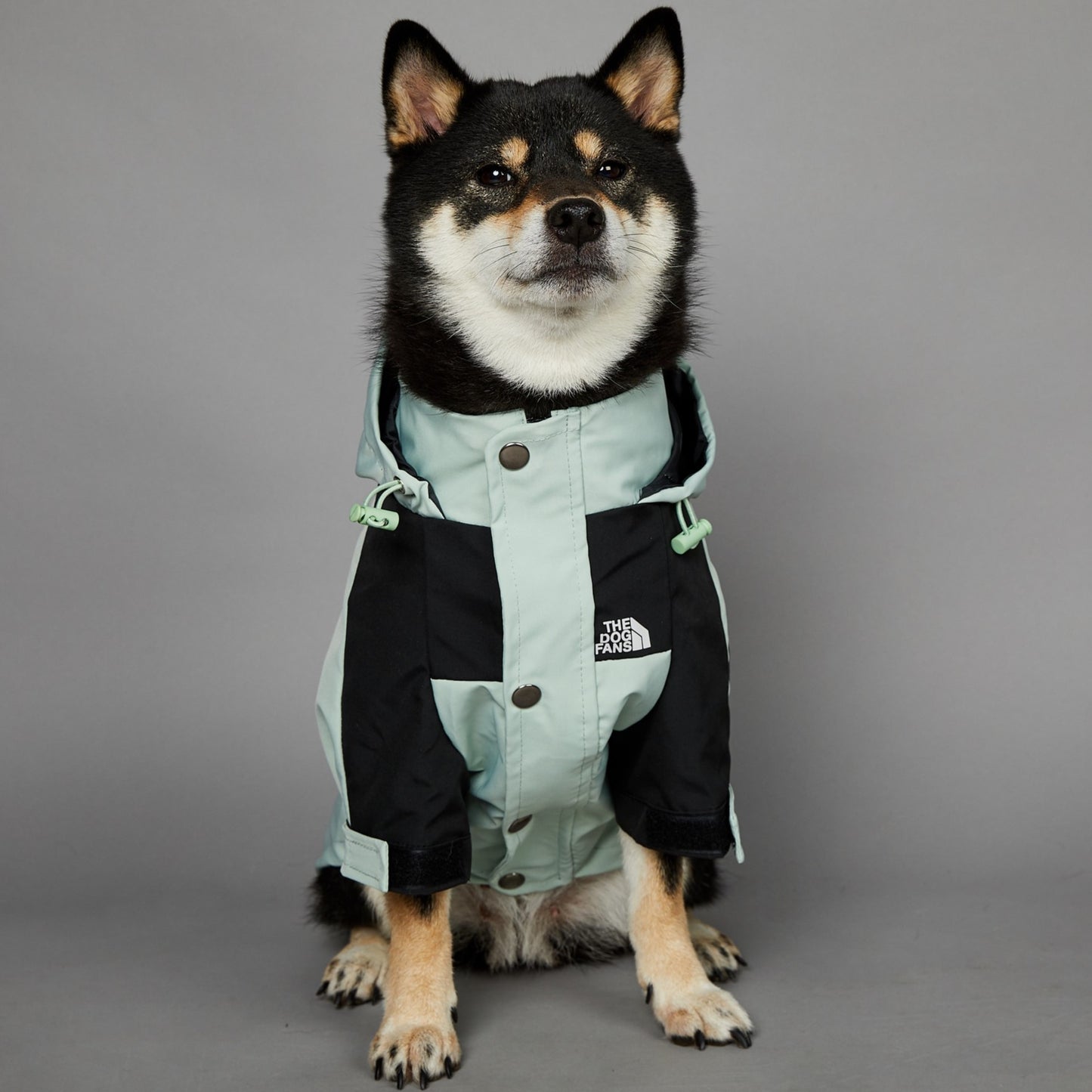 Syra Windproof And Rainproof Large Dog Raincoat Pet Jacket