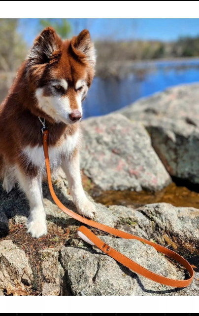Syra Leather Dog Leash / Leather Pet Leash