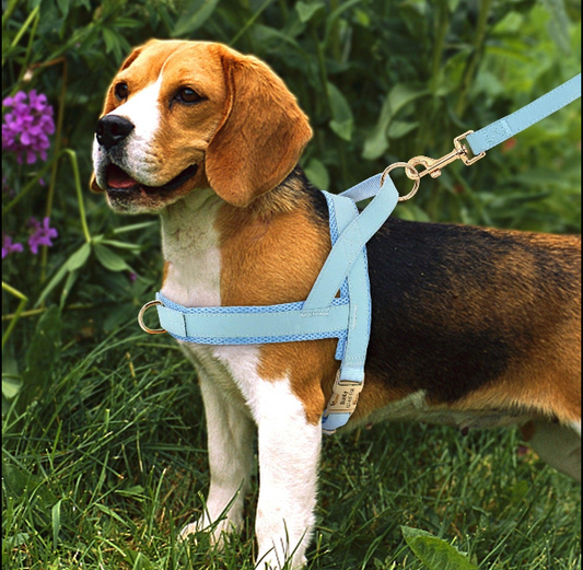 Syra Dog Harness(customizable)
