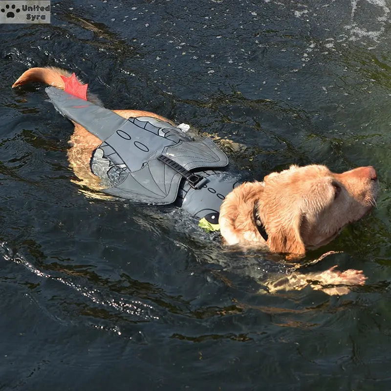 Syra Dog Swimsuit flying dragon design Syra