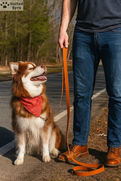 Syra Leather Dog Leash / Leather Pet Leash Meoof