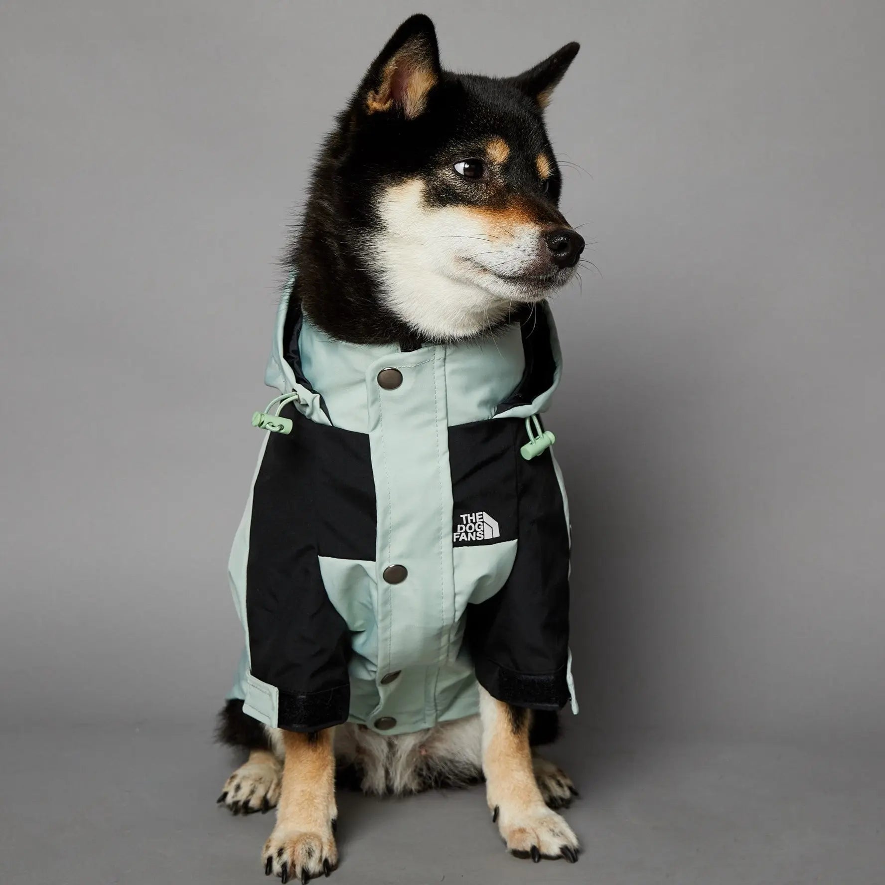 Syra Windproof And Rainproof Large Dog Raincoat Pet Jacket Meoof