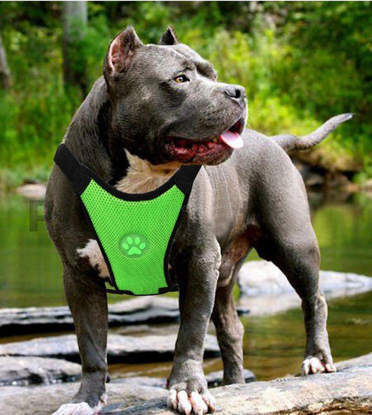 Breathable Mesh Pet Car Safety Chest Harness-3