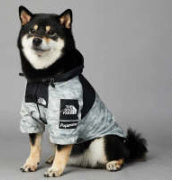 Syra Windproof And Rainproof Large Dog Raincoat Pet Jacket